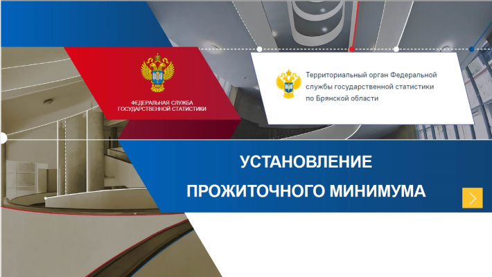 Установление прожиточного минимума