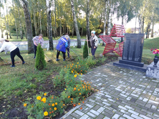 Месячник добрых дел для ветеранов Великой Отечественной войны 